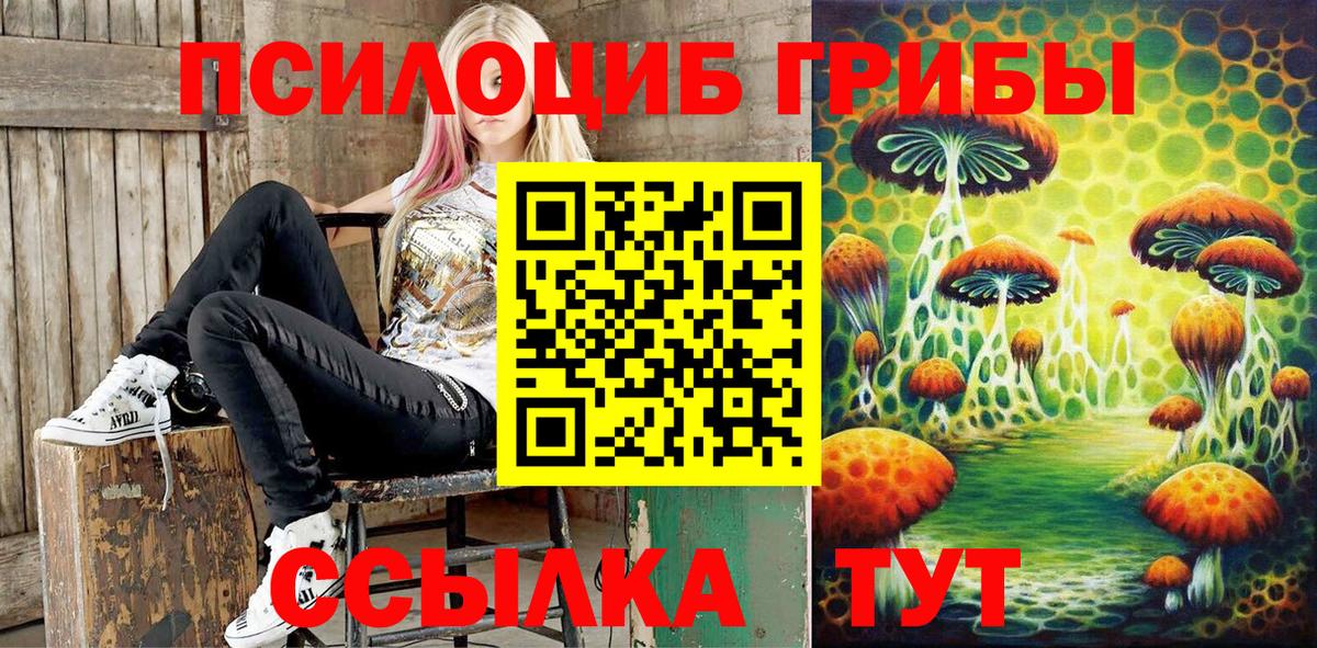 Галлюциногенные грибы MAGIC MUSHROOMS  Вход с VPN  Новороссийск  Галлюциногенные грибы Psilocybine cubensis 